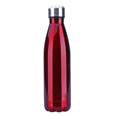 Elegantly Sporty Water Bottle
